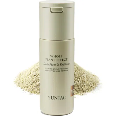 Yunjac Whole Plant Effect Cleansing & Exfoliant In Transparent