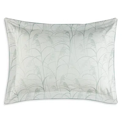 Yves Delorme Graminee Sham, Standard In White