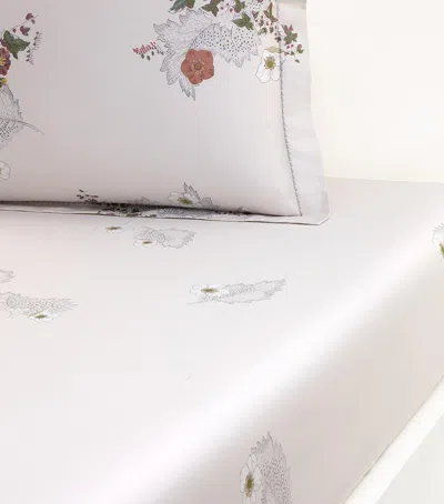Yves Delorme Organic Cotton Corolles Super King Fitted Sheet In White