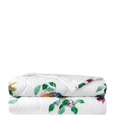 Yves Delorme Parfum Double Bedcover (250cm X 250cm) In Multi