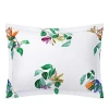 Yves Delorme Parfum Standard Sham In Multi