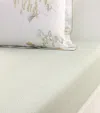 Yves Delorme Pollen King Fitted Sheet In White