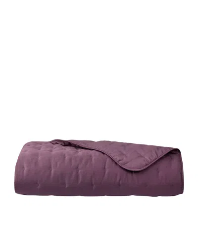 Yves Delorme Triomphe Double Bed Cover (250cm X 250cm) In Purple