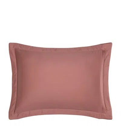 Yves Delorme Triomphe Santal King Oxford Pillowcase In Brown