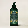 Yves Rocher Mandarin Pine Needles Body Lotion In Transparent
