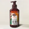 Yves Rocher Mango & Coriander Foaming Hand Soap