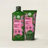 Yves Rocher Raspberry Shampoo & Mask