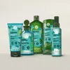 Yves Rocher The Detox & Purify Hair Set