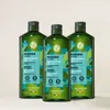 Yves Rocher Triple Detox Shampoo