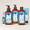 Yves Rocher Wild Algae Body Care Set