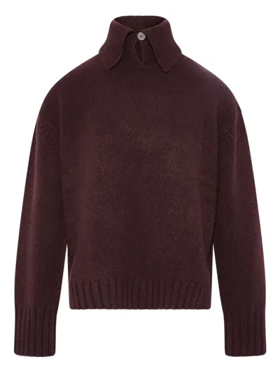 Yves Salomon Cashmere Collar Sweater In Brown