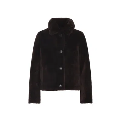 Yves Salomon Deep Grenat Lamb Shearling Jacket With Pointed Collar In Black