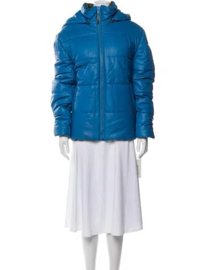 Pre-owned Yves Salomon Down Coat In Blue