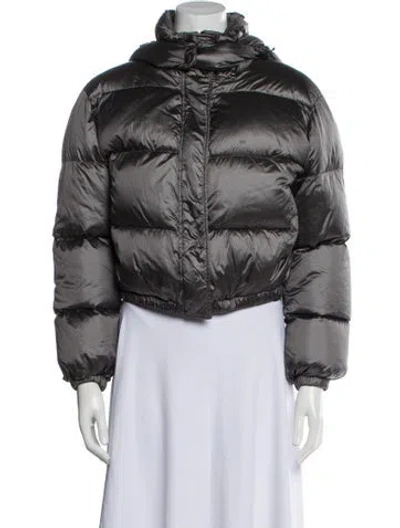 Pre-owned Yves Salomon Down Down Jacket In Gray
