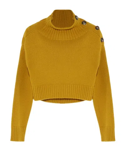 Yves Salomon High-neck Long-sleeved Sweater In Brown