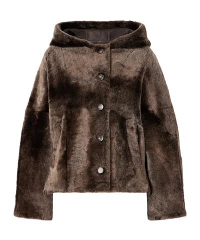 Yves Salomon Hooded Shearling Jacket In Brown