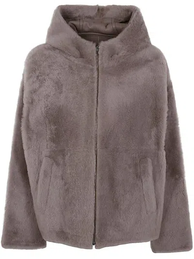 Yves Salomon Lacon Lamb Jacket Clothing In Brown