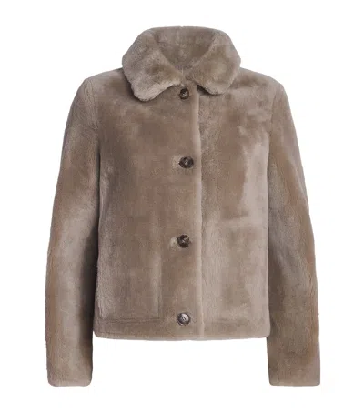Yves Salomon Lamb Fur Jacket In Brown