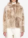 Yves Salomon Lamb Fur Jacket In Brown