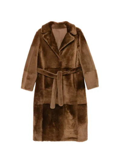 Yves Salomon Manteau Belted Shearling Coat In Brown