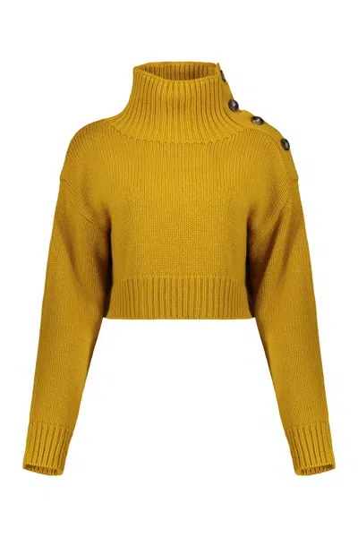 Yves Salomon Mustard Yellow Cropped Sweater With High Collar In Brown
