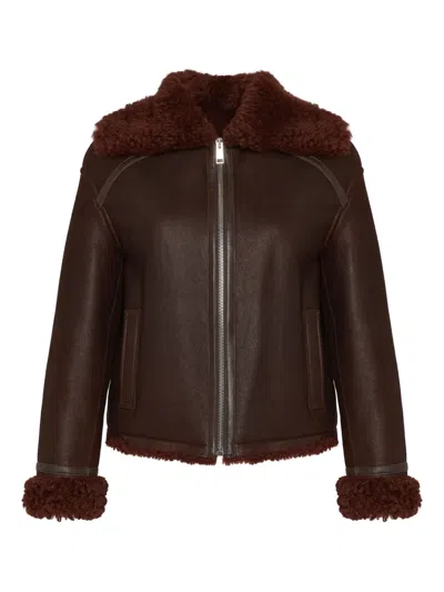 Yves Salomon Shearling-collared Zip-front Jacket In Brown