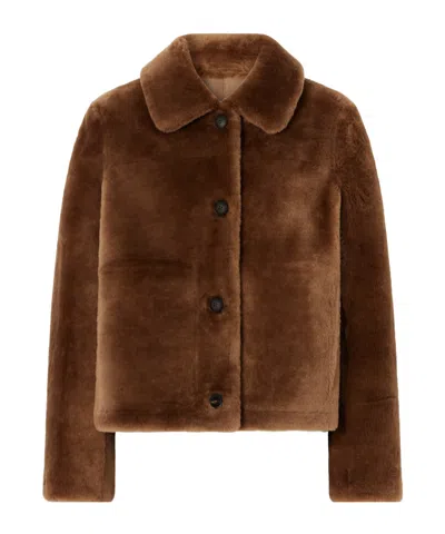 Yves Salomon Brown Shearling Merino Short Jacket