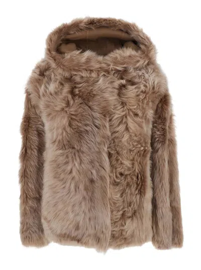 Yves Salomon Shearling Jacket With Shirt Collar And Zip Closure In Brown