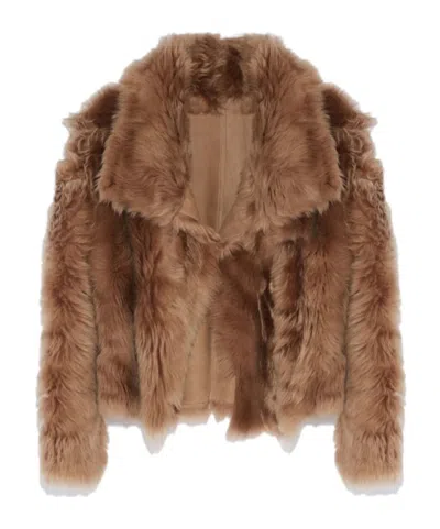 Yves Salomon Shearling Stand Up-collar Jacket In Brown