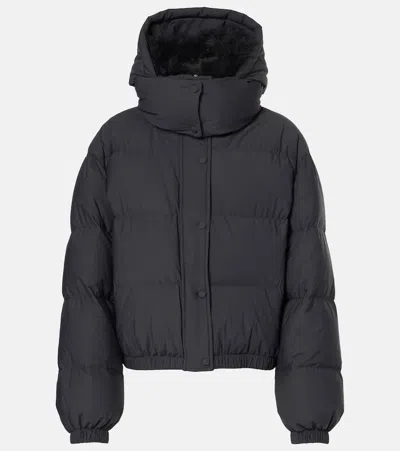 Yves Salomon Shearling-trimmed Down Jacket In Black
