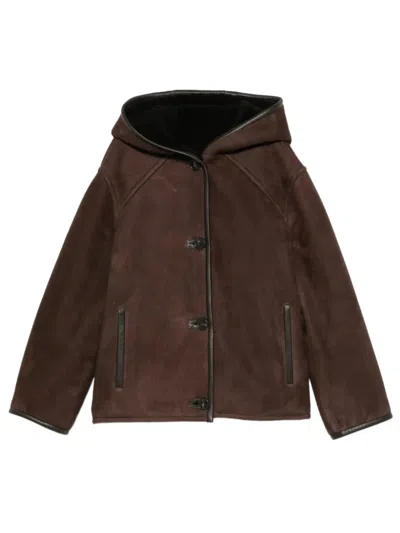 Yves Salomon Shearling-lined Suede-finish Lambskin Raglan Jacket With Hood In Brown