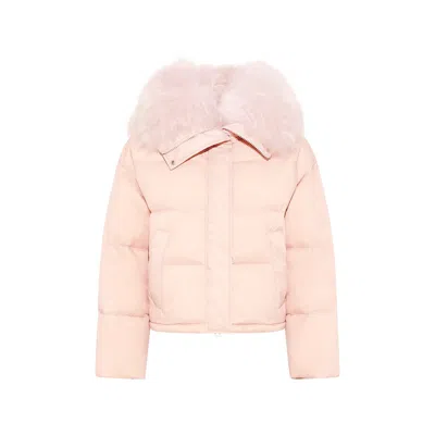 Yves Salomon Shearling-trim Down Jacket In Pink