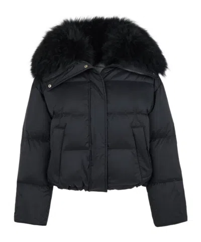 Yves Salomon Short Down Jacket In Waterproof Technical Fabric With Airy Lambswool Trim In Black