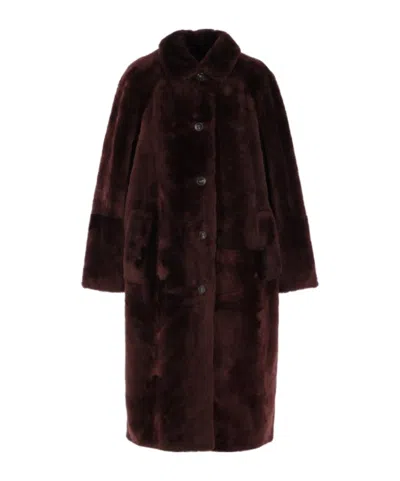 Yves Salomon Single-breasted Coat In Shearling In Burgundy