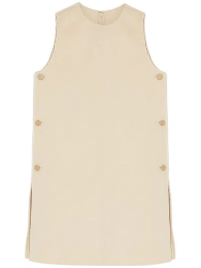 Yves Salomon Sleeveless Dress In Neutrals