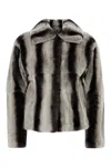 Yves Salomon Veste 55cm In Multi
