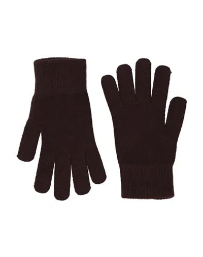 Yves Salomon Woman Gloves Dark Brown Size Onesize Wool, Cashmere