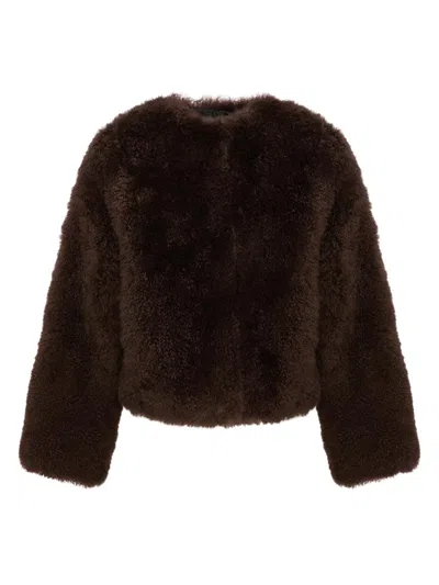Yves Salomon Women's Shearling Collarless Jacket In Brown