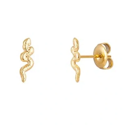 Yw Gold Serpent Earrings