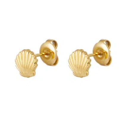 Yw Golden Shell Ear Chips