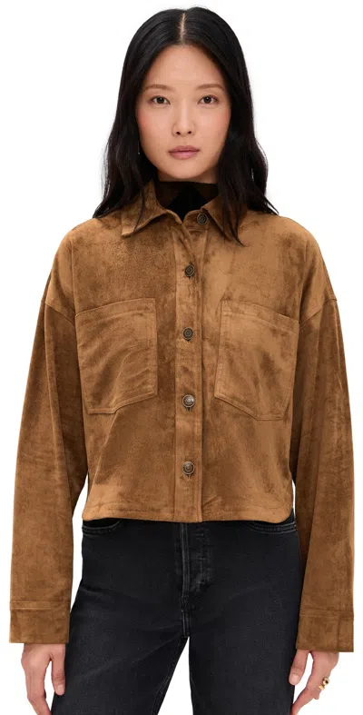 Z Supply All Day Cropped Suede Jacket Coconut In Multi