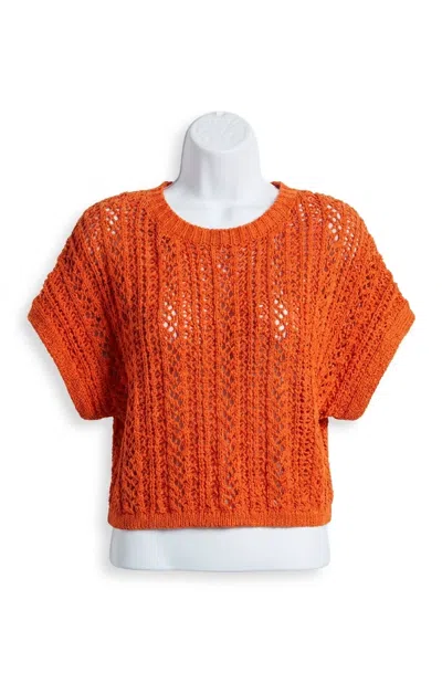 Z Supply Ballast Crochet Sweater Top In Tiger Lily In Orange