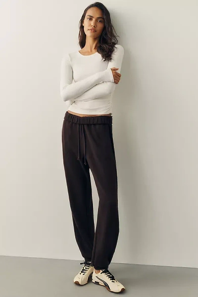 Z Supply Basecamp Joggers Pants In Brown