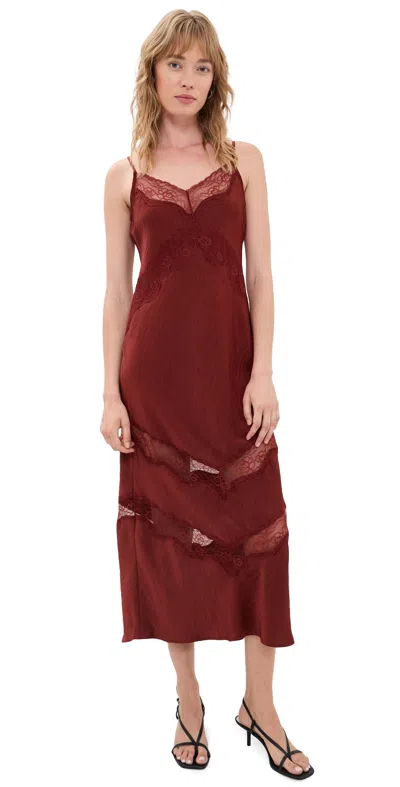 Z Supply Bruna Lace Dress Velvet Rouge In Brown