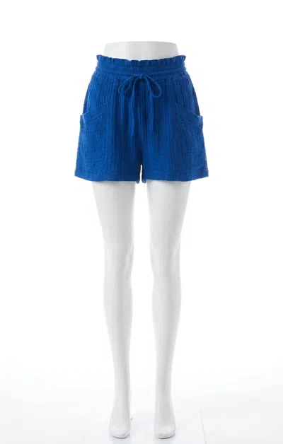 Z Supply Emory Short In Nautical In Multi