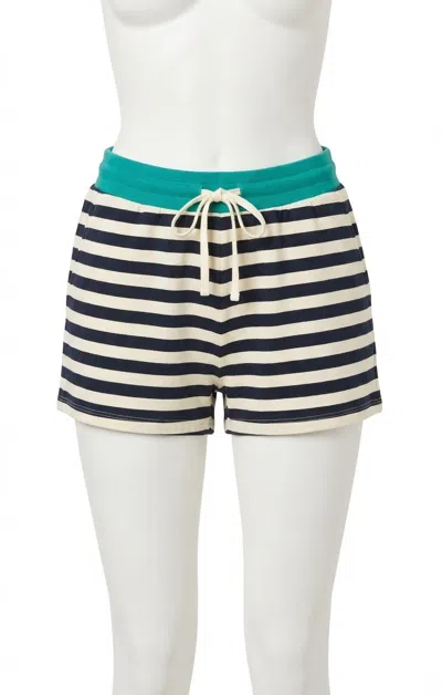 Z Supply Low Key Short In Eclipse Stripe In Multi