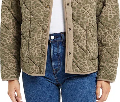 Z Supply Maya Leopard Jacket In Dusty Olive In Multi