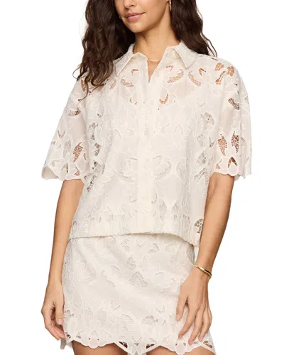 Z Supply Midnight Lace Top In White
