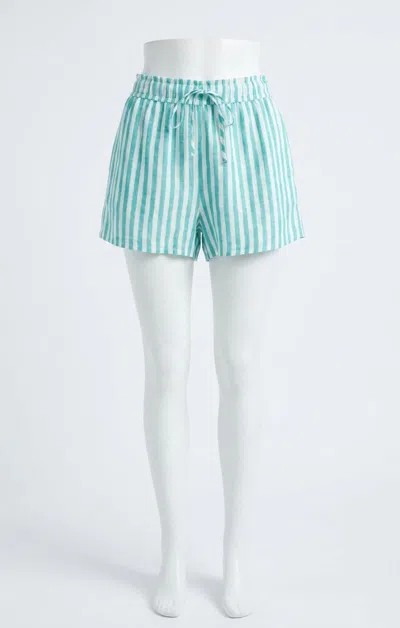 Z Supply Perfect Linen Short In La Palma In Blue