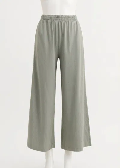 Z Supply Scout Crop Flare Pant In Harbor Gray In Multi